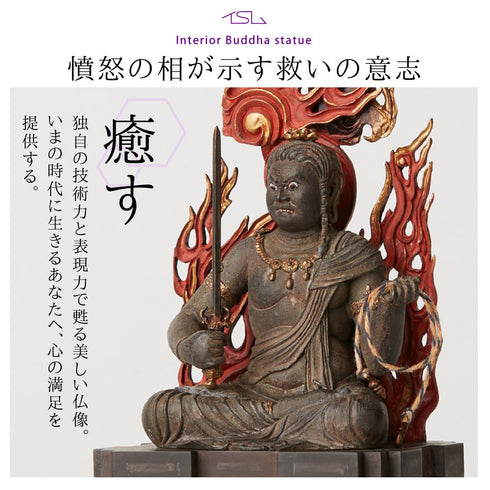 イスム TanaCOCORO 不動明王.|s2